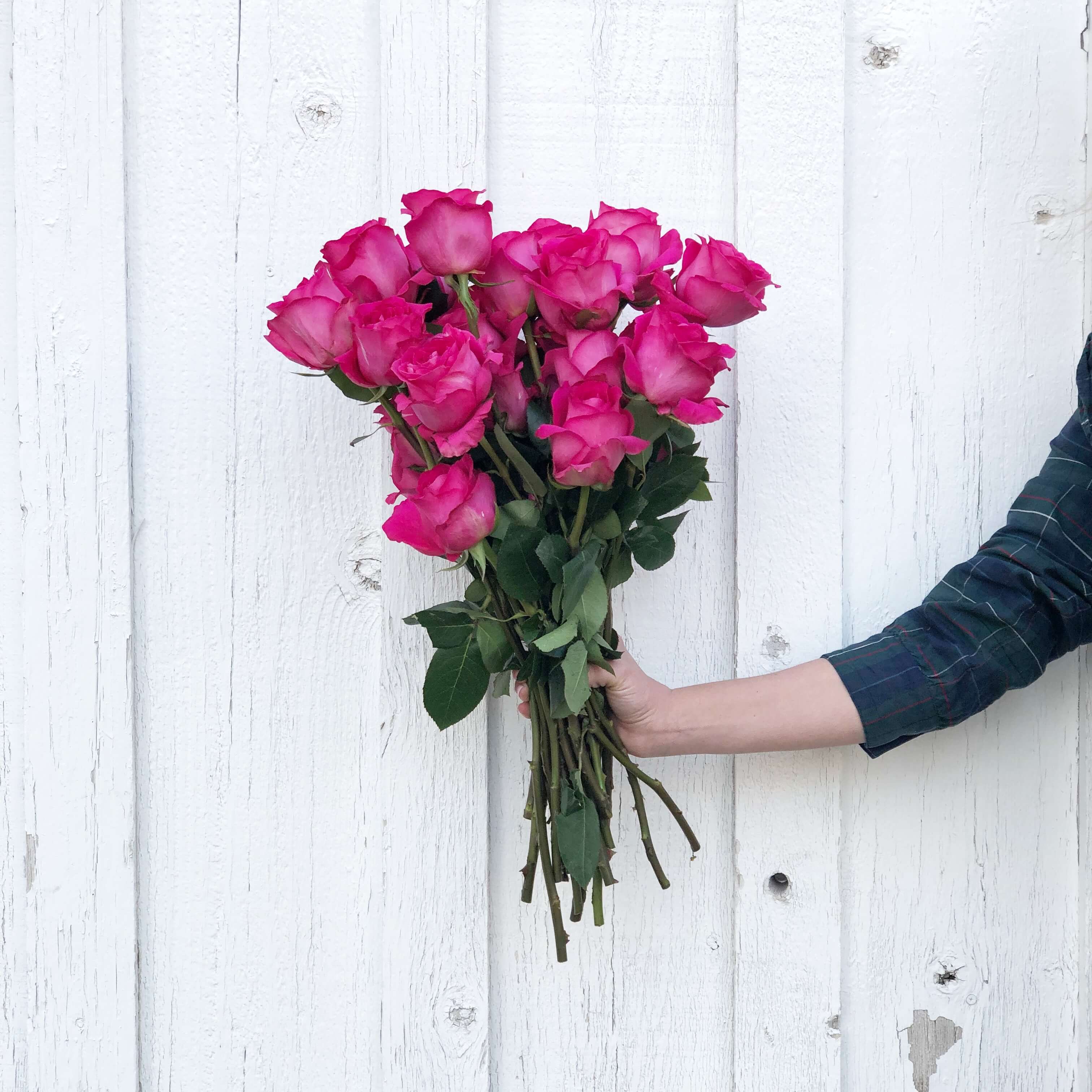 Utah Valentine's Day Ideas Things to do in Salt Lake City